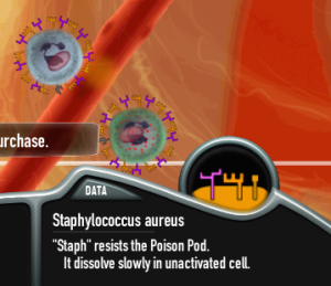 Neutrophils snap shot