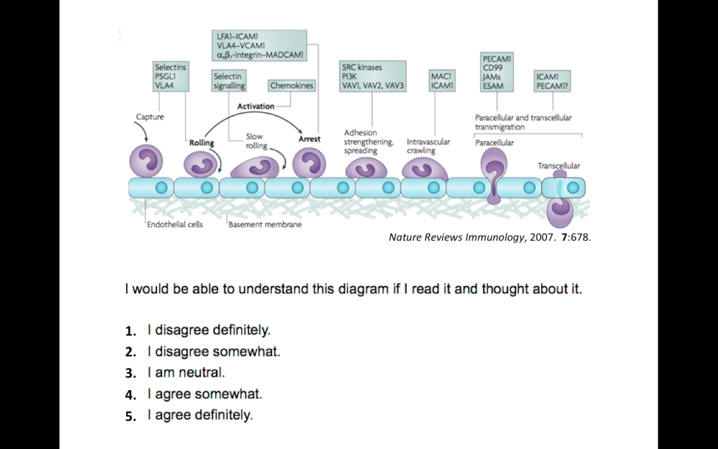 Image of molecular biology that looks similar to the material presented in the game Immune Attack.