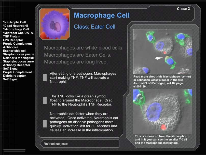 Giese et al Macrophage